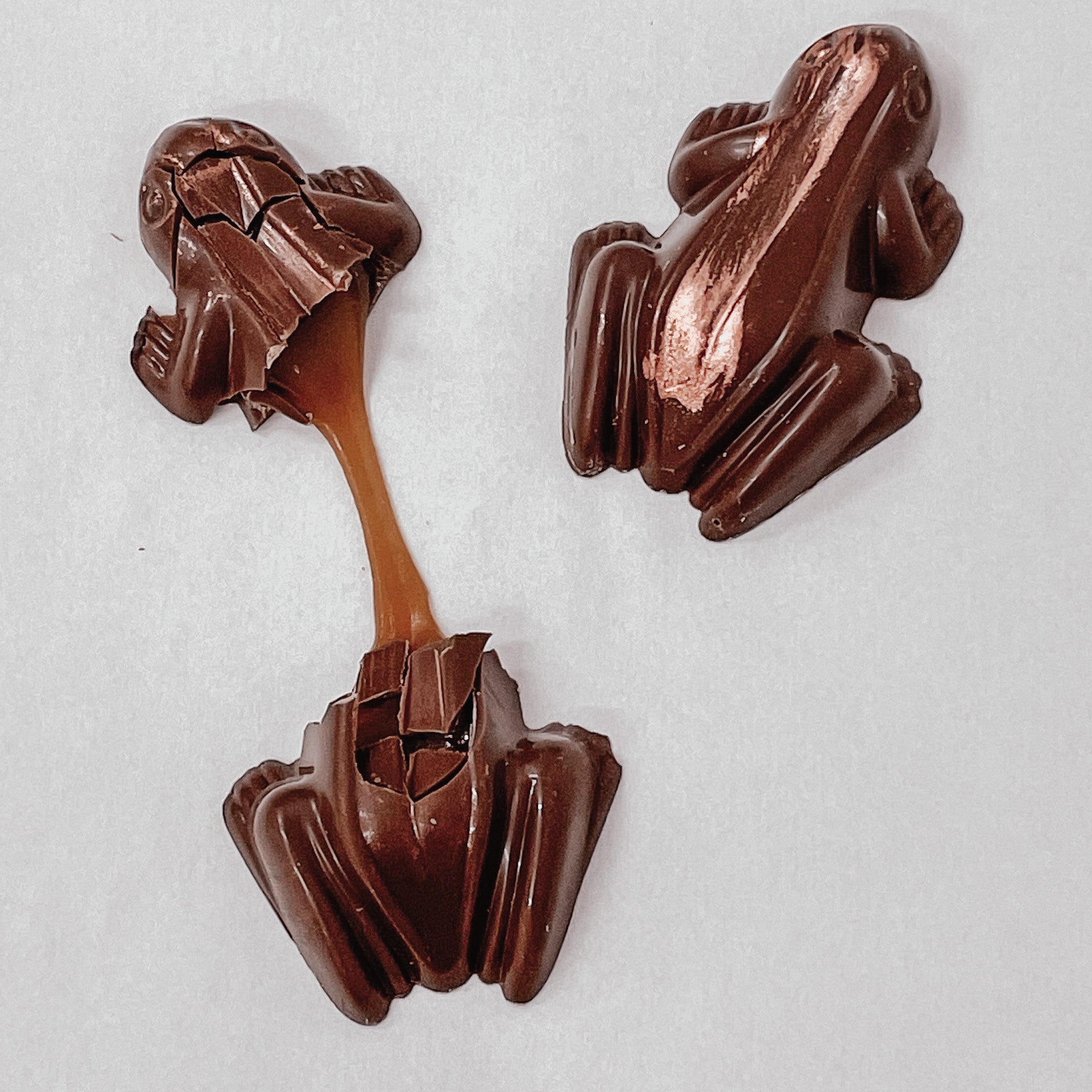 Frogs | Salted Caramel | 42% Milk Chocolate | 15g